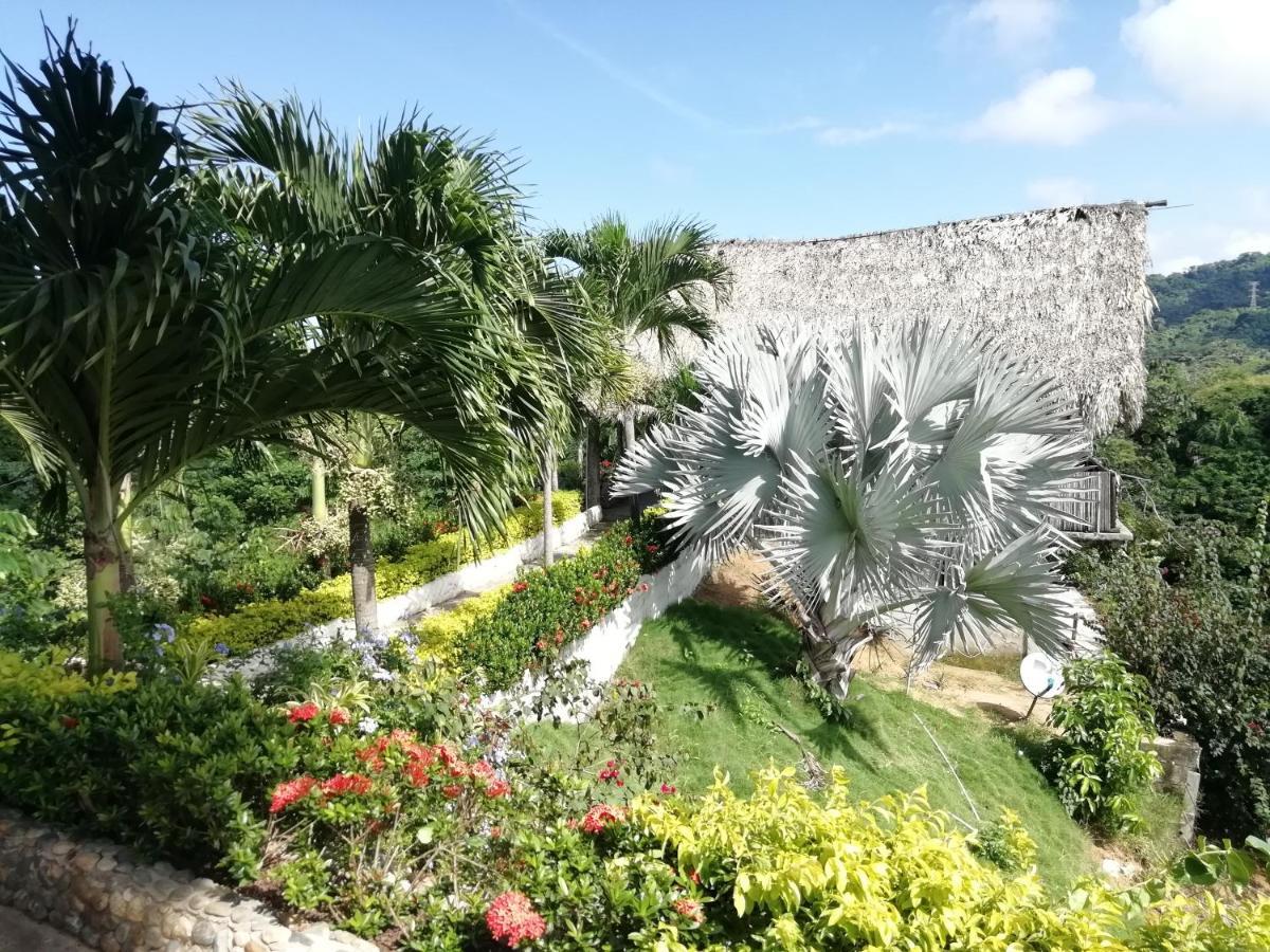 Moon Wind Tayrona Hostel 埃尔扎伊诺 外观 照片