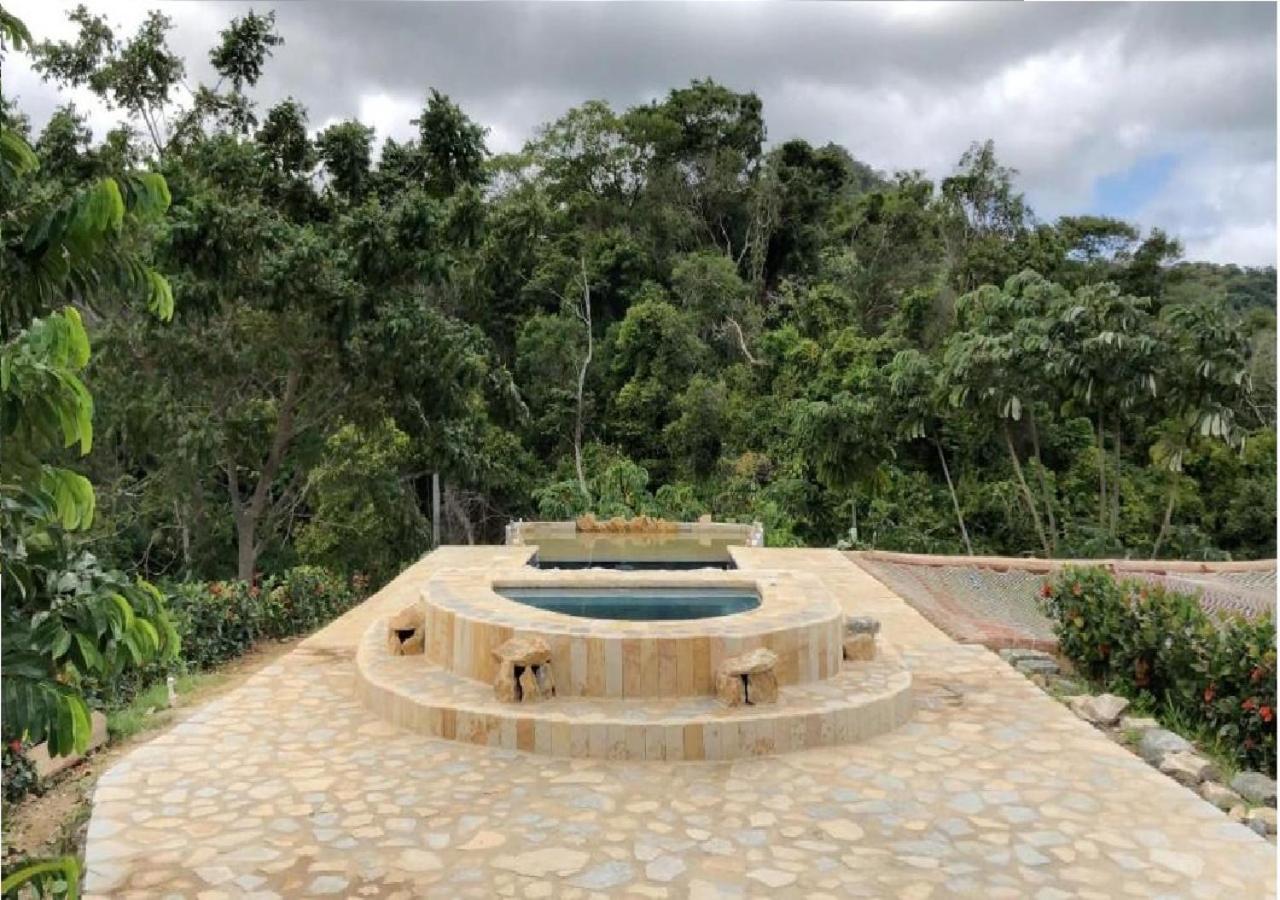 Moon Wind Tayrona Hostel 埃尔扎伊诺 外观 照片
