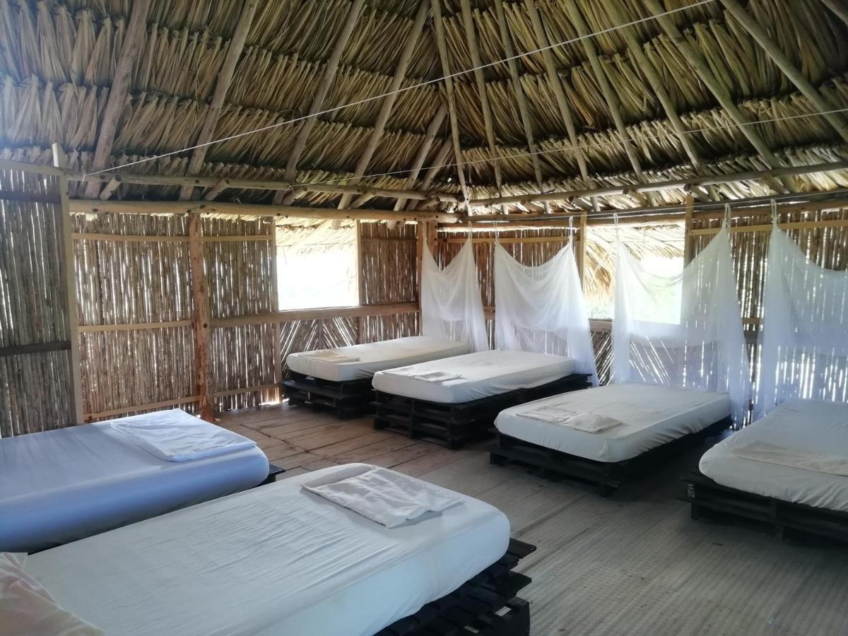 Moon Wind Tayrona Hostel 埃尔扎伊诺 外观 照片