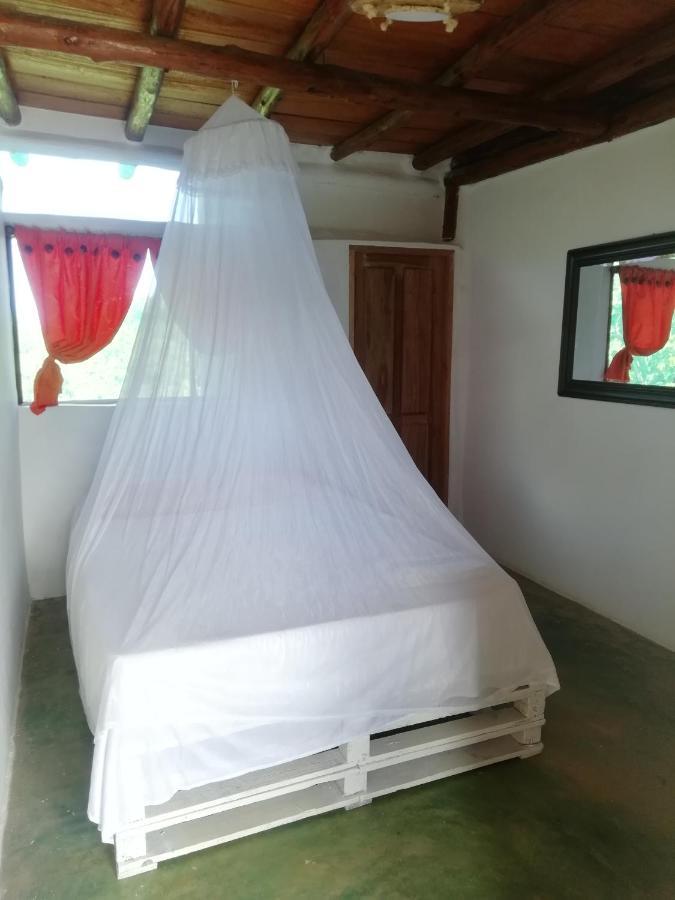 Moon Wind Tayrona Hostel 埃尔扎伊诺 外观 照片
