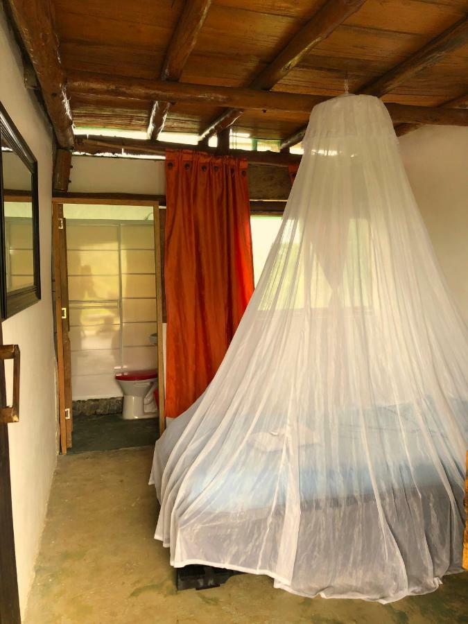 Moon Wind Tayrona Hostel 埃尔扎伊诺 外观 照片