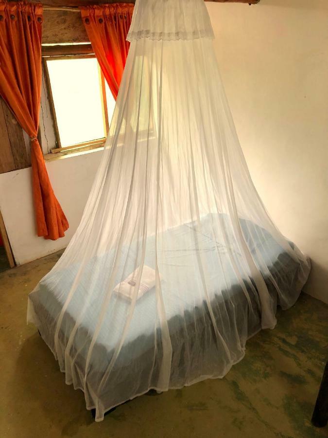 Moon Wind Tayrona Hostel 埃尔扎伊诺 外观 照片